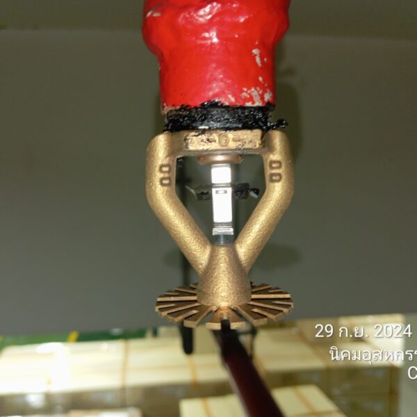 LINE_ALBUM_2992024_241120_325