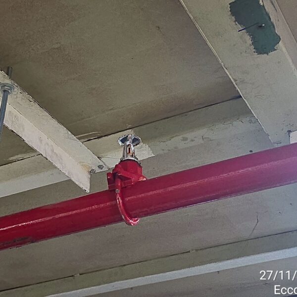LINE_ALBUM_Ecco tannery (ติดตั้ง Sprinkler W1)_251224_192