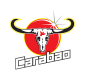 logo-carabao